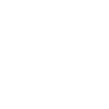 LINK NETWIN2